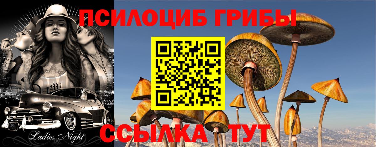 Малоярославец  Галлюциногенные грибы MAGIC MUSHROOMS  Вход с VPN 