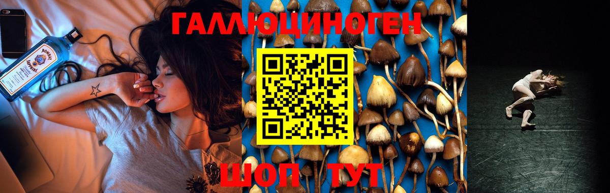 Псилоцибиновые грибы Psilocybe Малоярославец
